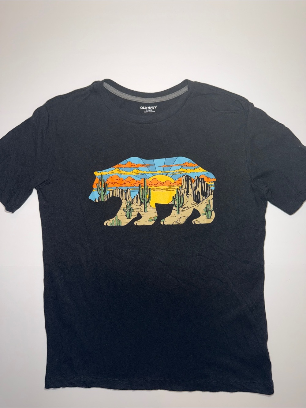 Old Navy Black Tee with Desert Bear Graphic